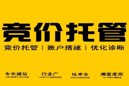 企业在sem账户托管中的成长与蜕变